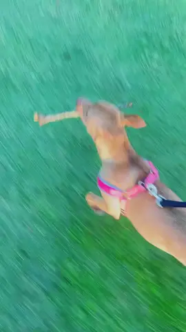 have a great day shawtys🌞🖤🫵🏻⭐️ #fyp #mauiwowie #fy #yuhyuh 