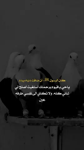 #كان رسول الله ﷺ أن ضاقت دنياه يردد ياحي ياقيوم برحمتك أستغيث اصلح لي شأني كله ولا تكلني الى نفسي طرفه عين #عبارات_عن_الحياة_عبارت_جميلة🖤 #اكسبلور 