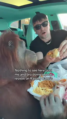 Still has to be the craziest thing I’ve done. #orangutan #raisingcanes #nasti2k 
