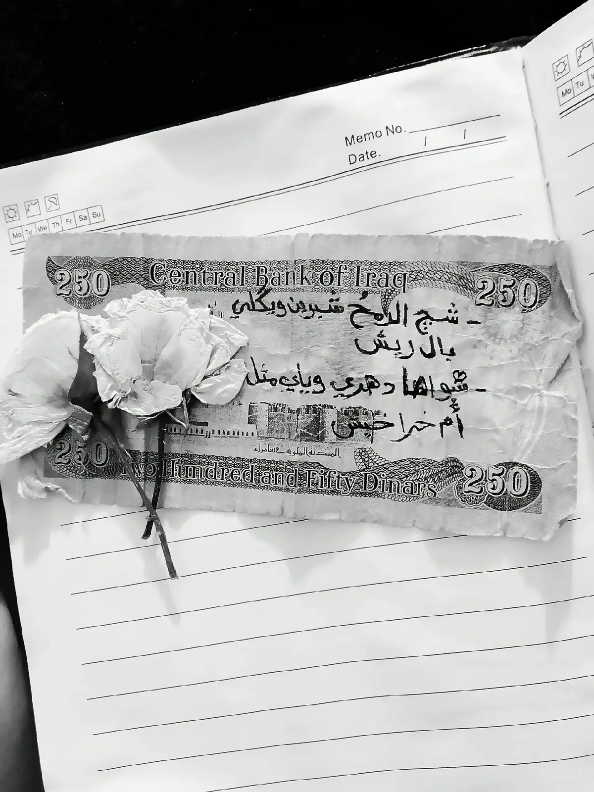 #اغاني #اكسبلور #شچ #لرمح #شبرين 