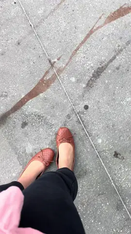 i swear they sense me coming #fyp #invasive #spottedlanternflies #spottedlanternfly #invasivespecies 