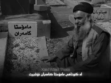 رحل الاسود فلا تسل🕊️.#مامۆستا_سۆران_تەوحیدی #مامۆستا_کامەران_کەریم #رحمەاللە #توحید #xalid_walid_shexa 
