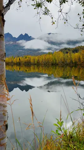 Fall mornings at Reflections Lake might be some of the most peaceful moments in all of Alaska 🍂🌲 The water is perfectly still, mirroring the golden leaves and snowcapped peaks in the distance 🏔✨ It’s the kind of place that makes you slow down, breathe in the crisp air, and just take it all in. If you’re near Palmer or driving the Glenn Highway in autumn, this spot is a must — especially at sunrise when the light is magic. #ReflectionsLake #FallInAlaska #AlaskaTravel #GlennHighway #AlaskaFallColors   