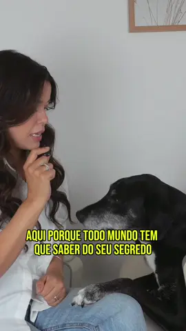 Mês passado falamos um pouco sobre a importância da vacinação também em gatos, e agora até Pongolicia gateiro está de olho em vocês! Me conta, já vacinou seu gatinho com Nobivac Feline esse ano?  msdsaudeanimal @MSD Família Pet  *publi  #msdsaudeanimal#msdfamiliapet #nobivac #pet #dog 