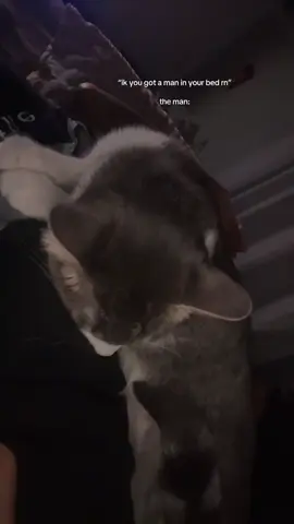 just ALLL over n up on me😭😭that’s my baby tho #fyp #fypシ #trending 