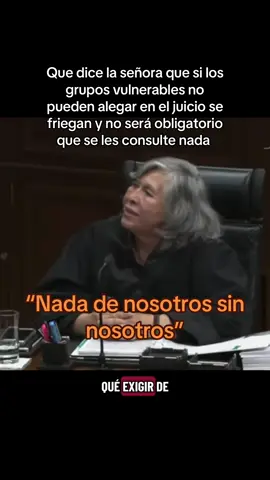 #nadadenosotrossinnosotros #reformaalpoderjudicial #poderjudicial #supremacortedelacordeón #mataviejitas