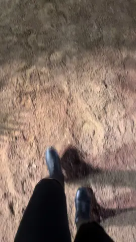 CANTER VIBES ✨#خيل_وخياله🐎 #الرياض #فعاليات #شعب_الصيني_ماله_حل😂😂 #اكسبلور 