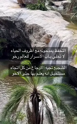 التحفظ يمدحونه مع اظروف الحياه لا تخلي بـاب الاسـرار للعالم رخو الشجيع تجيه الاوجاع من كل اتجاه مستحيل انه يعلم بها حتى الاخو.                          #اكسبلور_تيك_توك #CapCut #اكسبلورexplore #لايك #شعر 