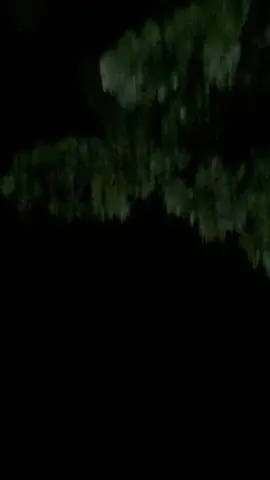 asikin walaupun dikit😬 #vaxsquad #vario #aerox #nmax #fyp 