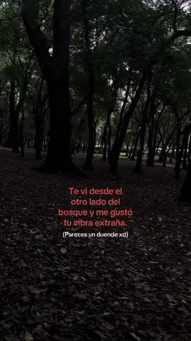 Wey yo😭🫂#fyp #humor #bosque #seresmagicos #alt 