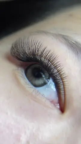 Volume chuyên đề đi nước ngoài 🥰 #Qin_Lashes #dạynốimi #mihottrend #volumelashes #nốimithiếtkế 