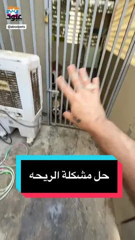 حل مشكلة الريحه للكلاب  #كلاب #هاسكي ‎#عبودpets #كلاب_شرسة 