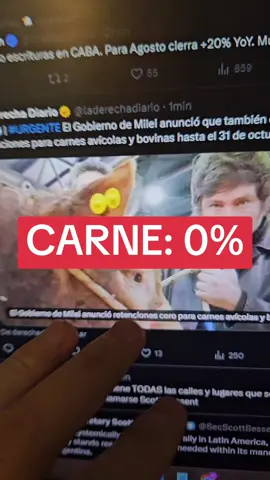 MILEI TAMBIÉN BAJA RETENCIONES A 0% PARA LA CARNE