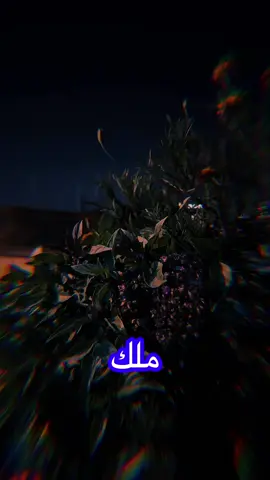 #assa2990io #ابونواف #أبها_عسير #اكسبلوررر #اكسبلوررر 