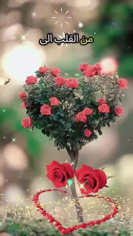 #vivacutapp #foryoupage #greenscreen 