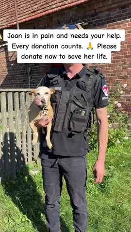 😭 JOAN'S IN PAIN 🐶💔... I'm struggling to raise $250 for her life-saving treatment. Every little bit counts! 💕 Can you spare a few dollars to help ease her suffering? 🐾❤️ Your donation can make a difference and bring her comfort. #JoanNeedsHelp #ReliefForJoan #DonateToday