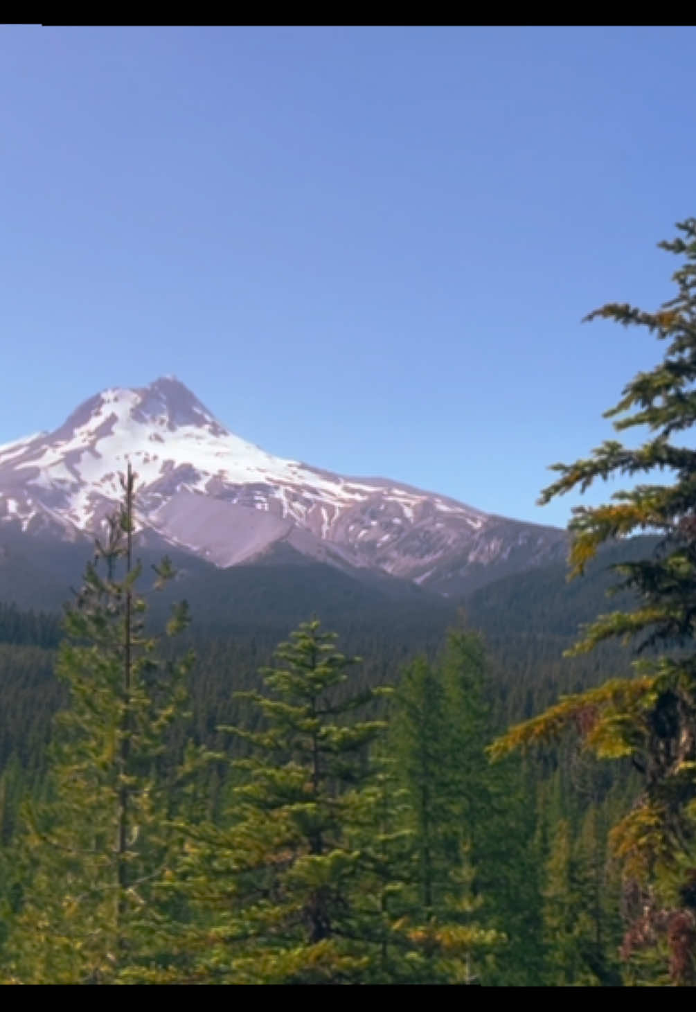 waking up to this>>>>>>                        #fyp #nature #camping 