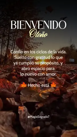 🍂 El Equinoccio de Otoño nos recuerda que la vida es un constante fluir… Los árboles sueltan sus hojas, no por tristeza, sino por sabiduría, saben que solo vaciándose podrán renacer en una nueva primavera... Así también nuestra alma: Soltar lo que cumplió su ciclo es un acto de confianza, una entrega que abre espacio para lo nuevo. 🌱 🔥 Hoy es tiempo de honrar lo vivido y abrirnos a lo que nace… 💜 ¿Qué estás listo para soltar en gratitud y confianza? 𝑪𝒐𝒎𝒑𝒂𝒓𝒕𝒐 𝒄𝒐𝒏 𝒂𝒎𝒐𝒓… @MagiaSagrada7 . . #MagiaSagrada #patatiiiiiiiiiiiiiiiiiiiiii #fyp #autumn  #Otoño 