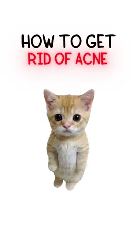 How to get rid of acne 