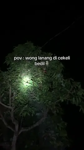 Ora aku lek ora aku🗿 #tuban24jam #tuban #fyp 