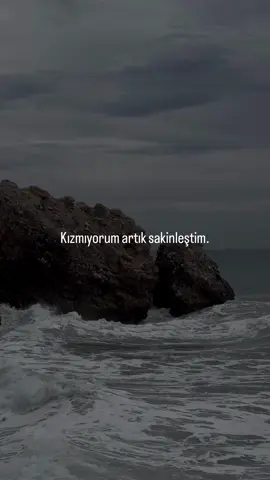 Sanırım başardım…