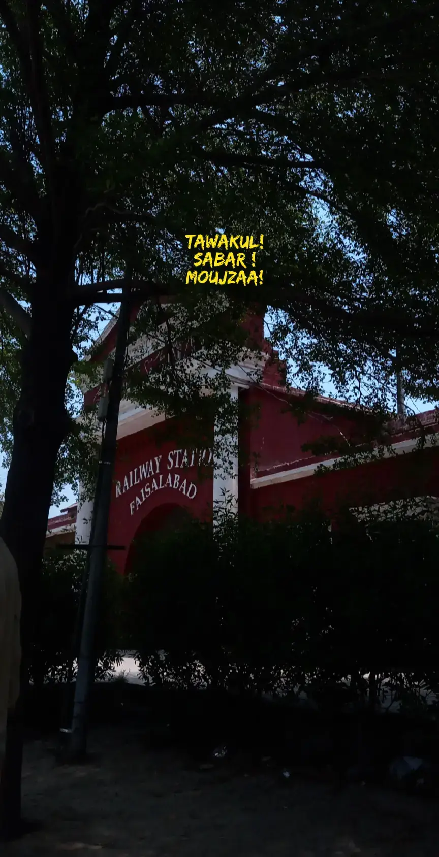 #foryoupage #fyp #unfrezzmyaccount 