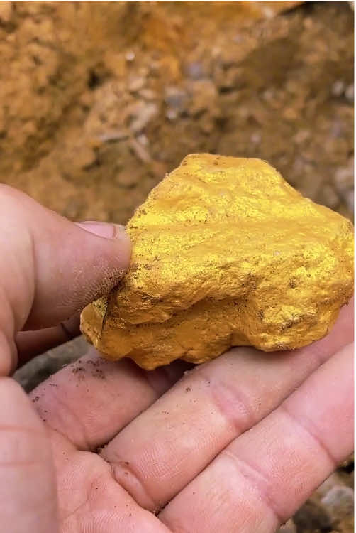 #treasure #treasurefinds #gold #diamond #treasurehunt 