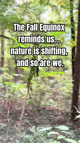 The Fall Equinox is a season of balance — where light and dark meet as equals. Today I went into the forest to ground, set intentions, and release what no longer serves me. Just like the trees, I’m learning that letting go is part of growth. 🌿 What are you ready to release this season? #fall #fallequinox #release 