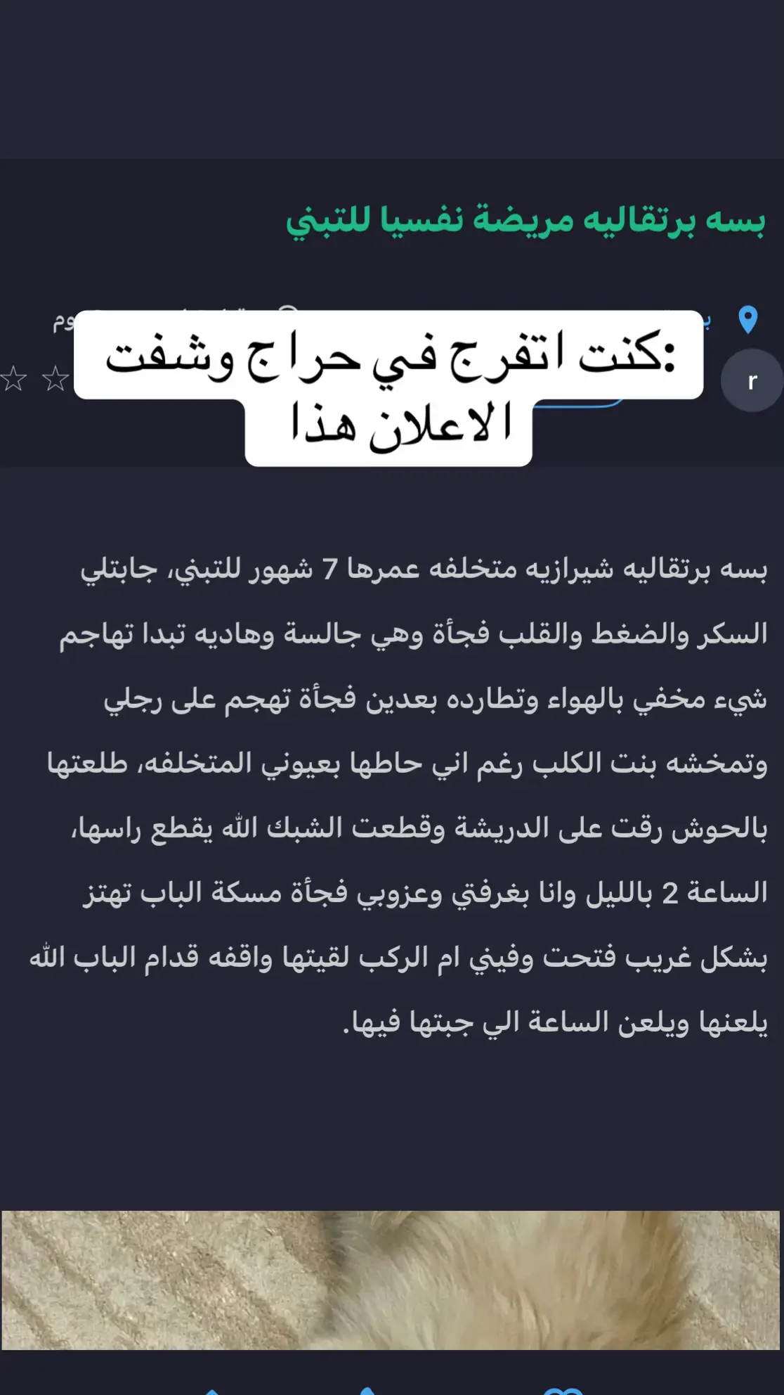 #الشعب_الصيني_ماله_حل😂😂 #اليوم_الوطني 