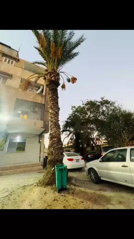 آللهےـِ يـــــــّبّـــــــآرك🧿✋#ليبيا_طرابلس_مصر_تونس_المغرب_الخليج #شعب_الصيني_ماله_حل😂😂 #سرتنا_سرت_ليبيا💚🌻 #ليبيا_طرابلس_مصر_تونس_المغرب_الخليج #الجنوب_الليبي 