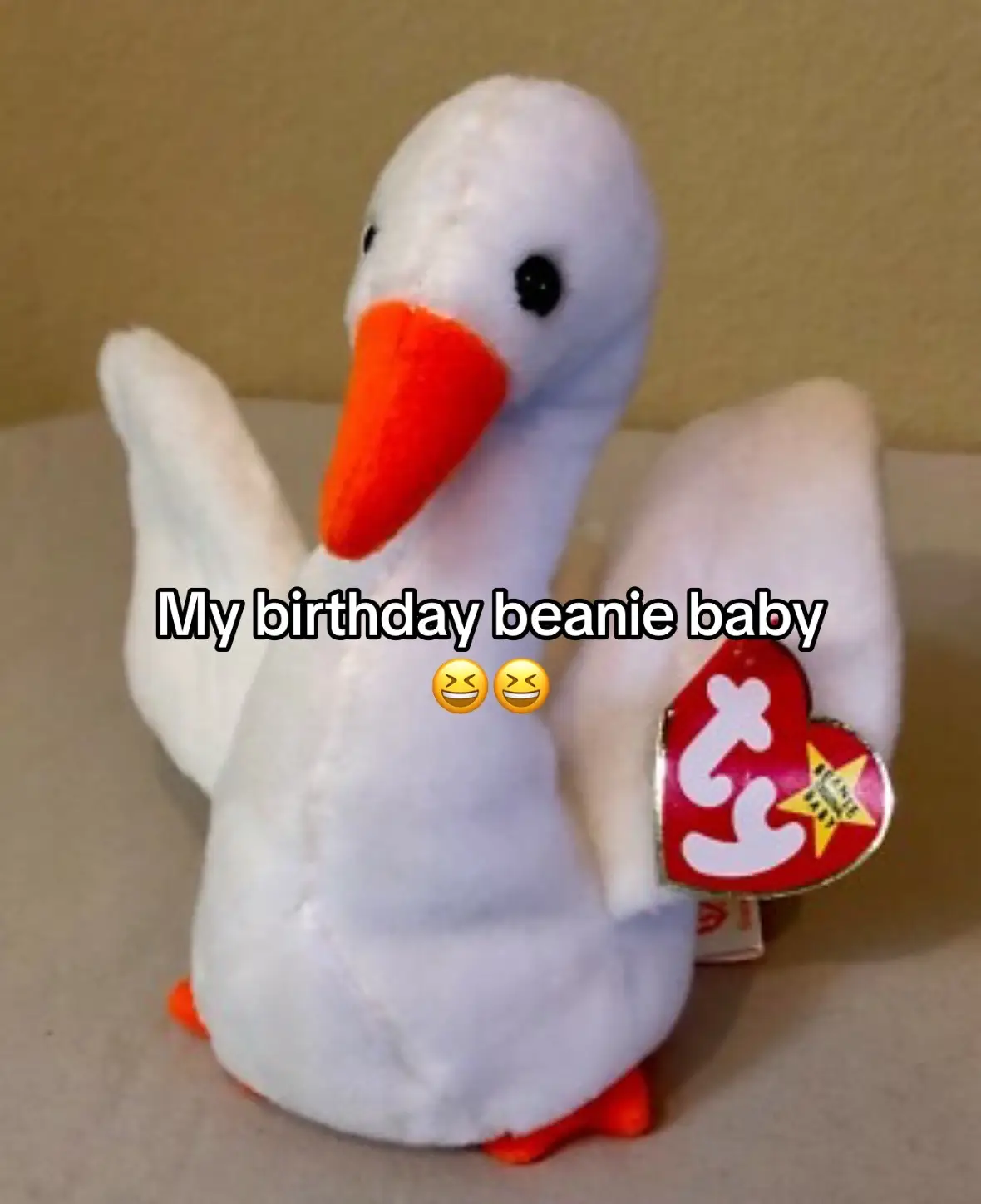 #beaniebaby #fyp #viral 