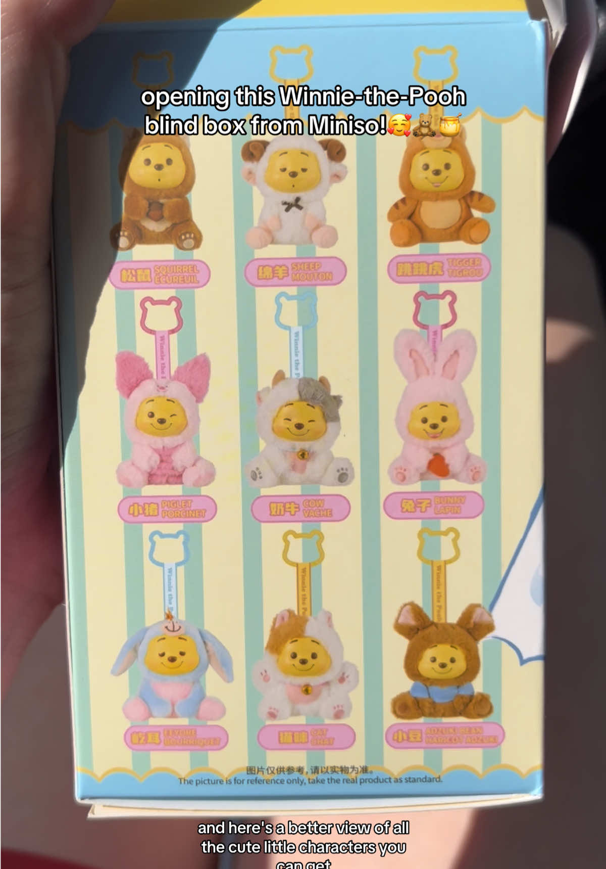 i showed my cat Lana the plush and she tried to groom him😭😭😭🤍🤍🤍 #winniethepooh #poohbear #blindbox #blindboxopening #miniso @MINISO 