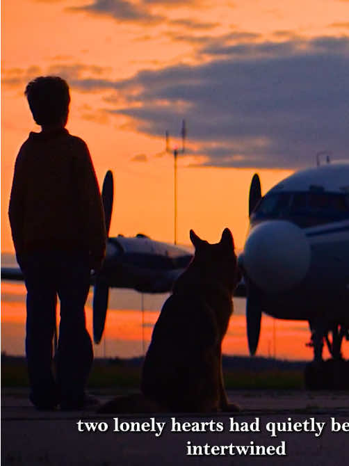 Part 1: The world doesn't let dogs talk because love and loyalty are expressed in actions.#movie #film 