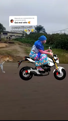 Réponse à @souzanne.kande  mais il me suit pourquoi ? ce lion 🦁😂🦅 j'ai vraiment peur avec ma moto 🤣🦅🏍️