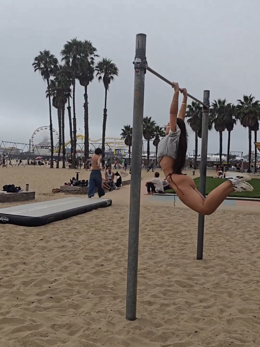 venice beach 