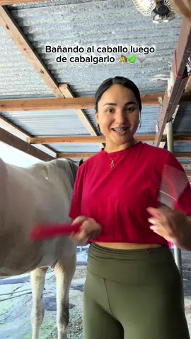 Sábado lo cabalgamos y ayer Domingo le dimos su baño!!! 🩶😍🥰