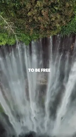 Sam Smith - To Be Free 🤍