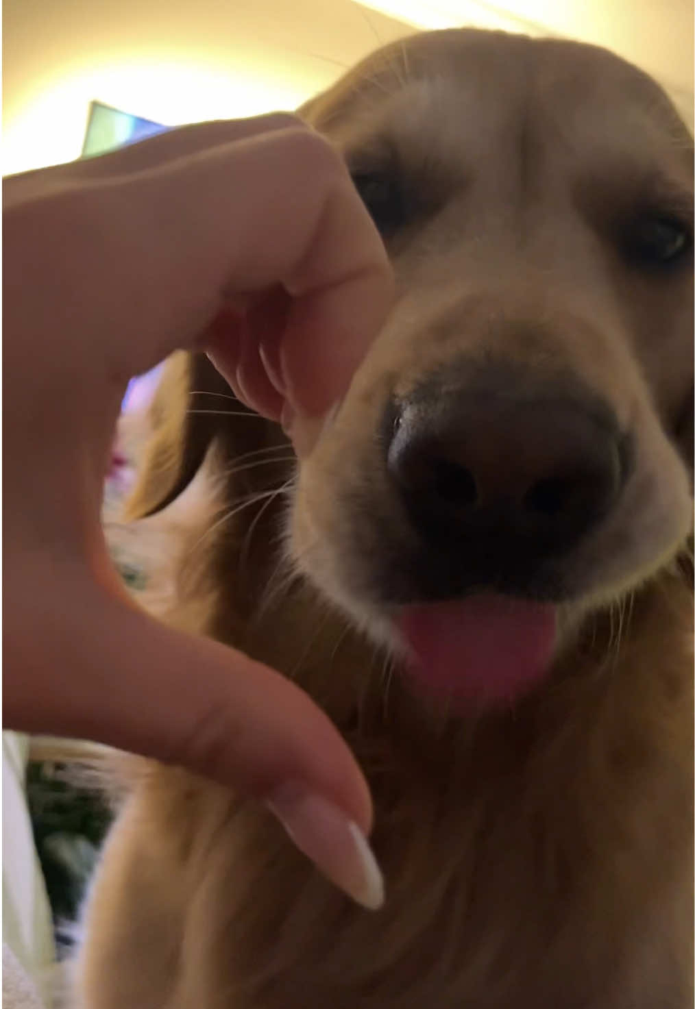 ❤️ #trend #fyp #Love #trending #viral 