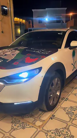 اليوم الوطني السعودي 95 🇸🇦🤍💚 #السعودية #93saudinationalday #المملكة_العربية_السعودية #إكسبلور #ترند 