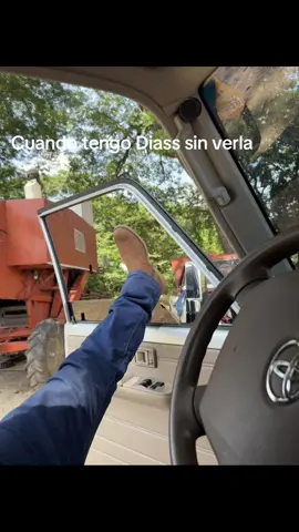 #mamaehijo #calabozoguarico🇻🇪 #siembraycosecha #llano 