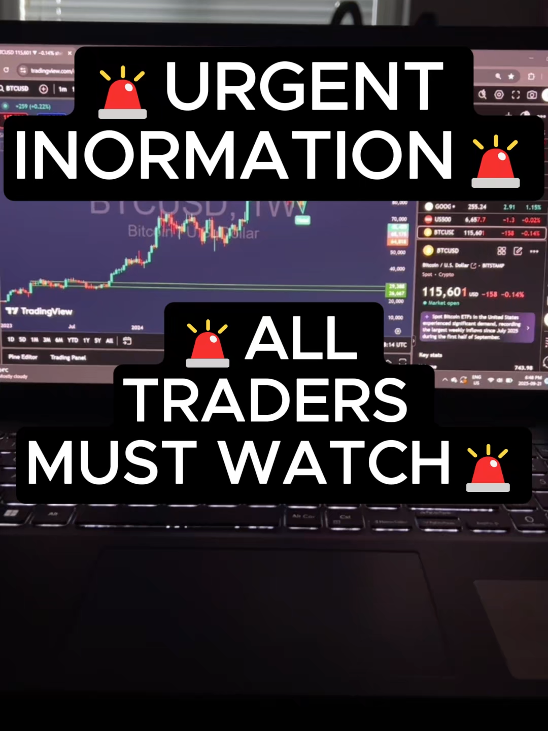 this level of comfort is earned through sheer determination. #trading #fyp #investing #finance #viral