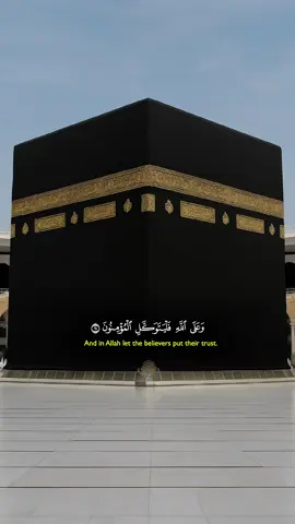 #القران_الكريم_راحه_نفسية😍🕋 ###اكسبلوررررر #quran #quran_alkarim #القران #اكسبلور #قران #قران_كريم #القران_الكريم #quranverses #quranvideo #quranrecitation #QuranKareem #allahuakbar #Tilawat #islamic #دعوة 