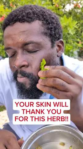 Have you tried Cassia Alata Leaves before #CassiaAlata #RingwormBush #NaturalSkinCare #HerbalRemedies #ClearSkinTips 