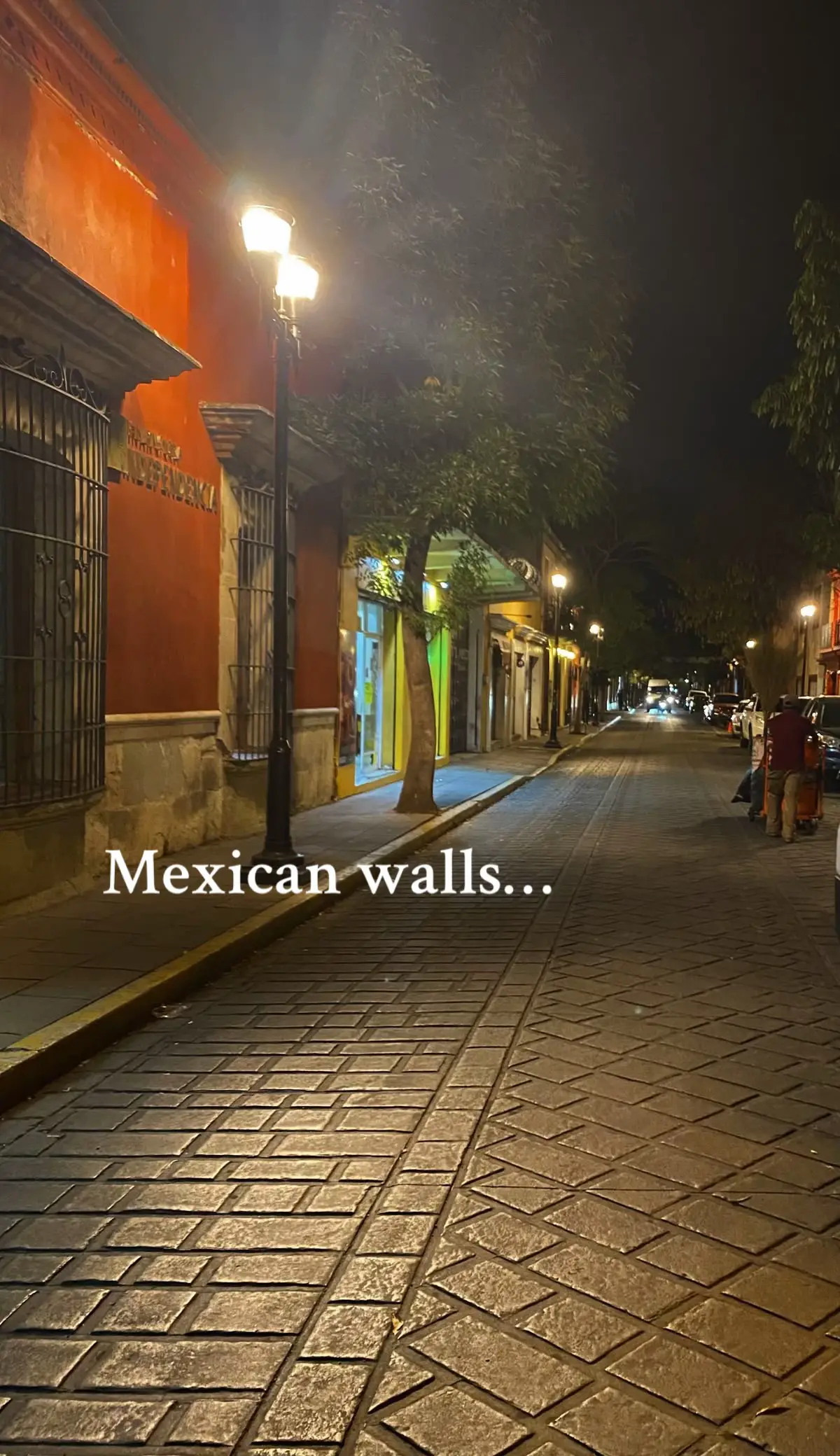 #mexico #mexican #quotes #fypp #fyp 