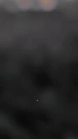 #CapCut 