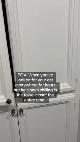 Nothing surprises me anymore. #orangecat 