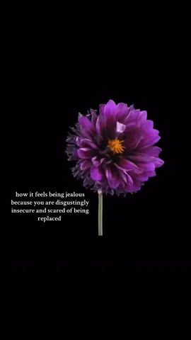 i hate myself sometimes #jealousy #fyp 