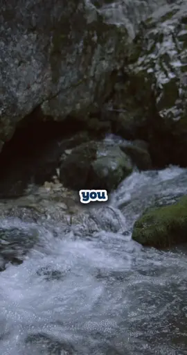 #fypシ #featureme #depressionquote5 #motivation #foryoupage 