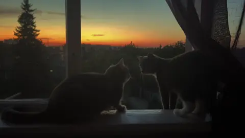 #грустноевидео #вайб #атмосфера #врек #хочуврек 