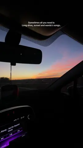 #sunset #fyp #longdrive #Love #drive 